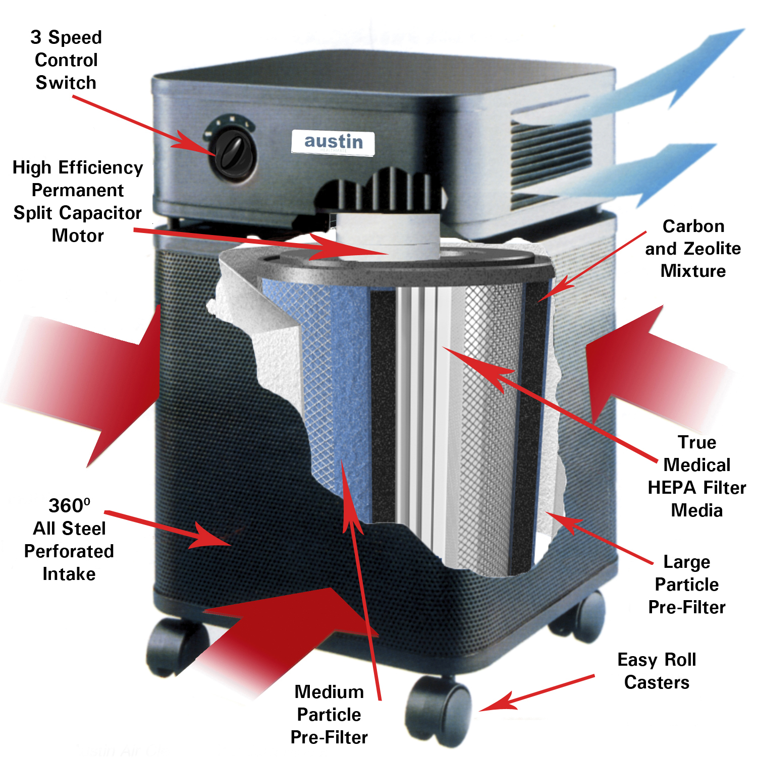 Cutaway View of Allergy Machine